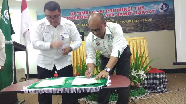 Ketua Apkasindo Riau, Gulat Medali Emas Manurung, menandatangani MoU bersama Djoni, perwakilan dari PT Pupuk Kaltim. Foto Lina